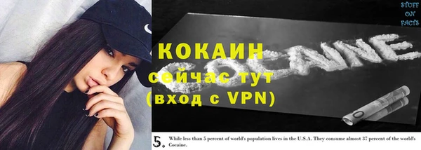 гашик Касимов