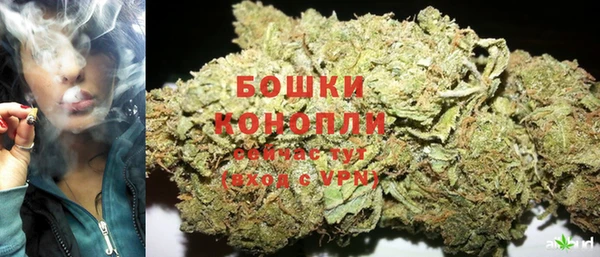 гашик Касимов