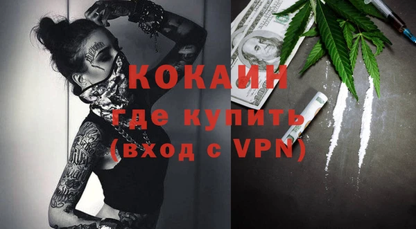 гашик Касимов