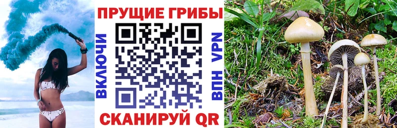 Псилоцибиновые грибы ЛСД  Купить  Бобров 